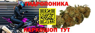 не бодяженный Будённовск