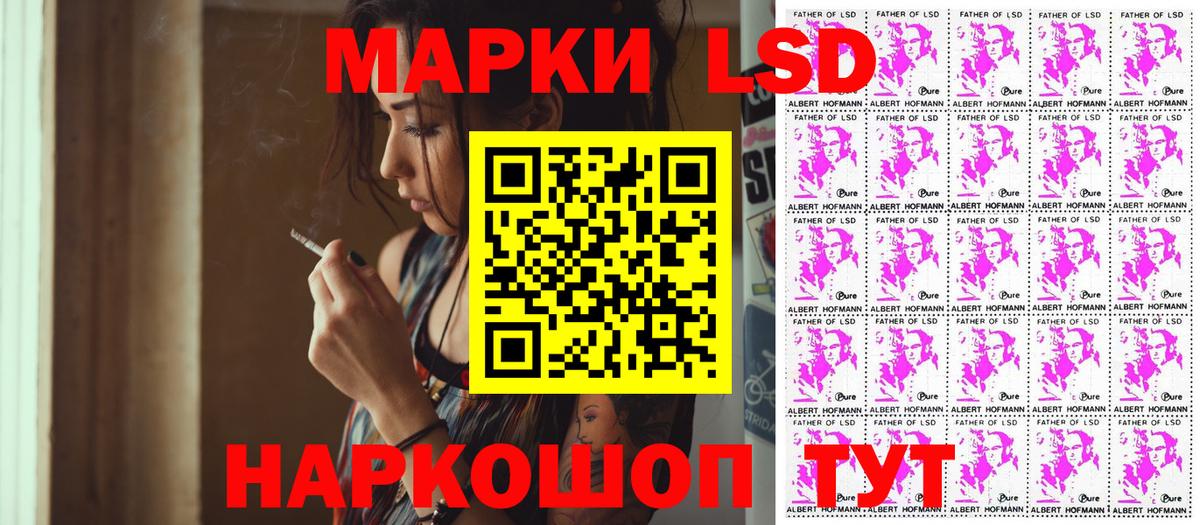 Пугачёв  Марки N-bome 1,5мг  Вход с VPN 