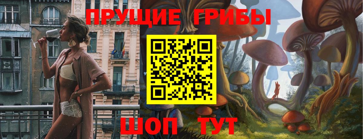 Псилоцибиновые грибы Magic Shrooms  Вход с VPN  Пугачёв  Галлюциногенные грибы мухоморы 